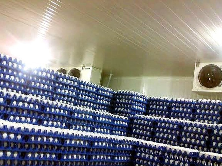 Beverage cold storage