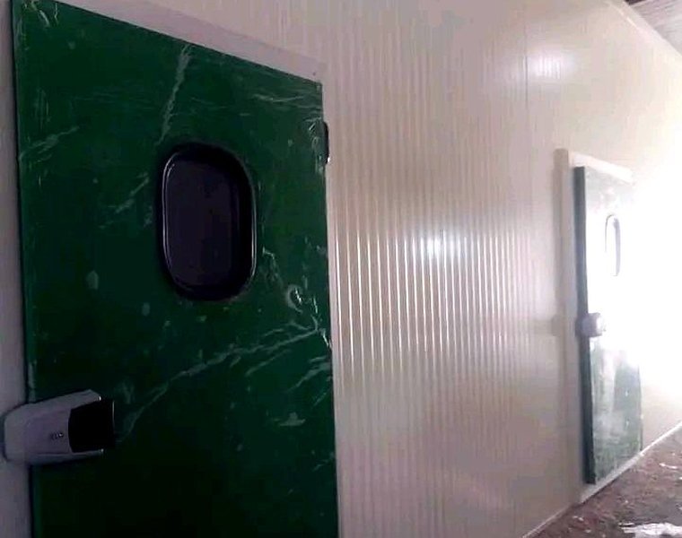 Insulated cold room door